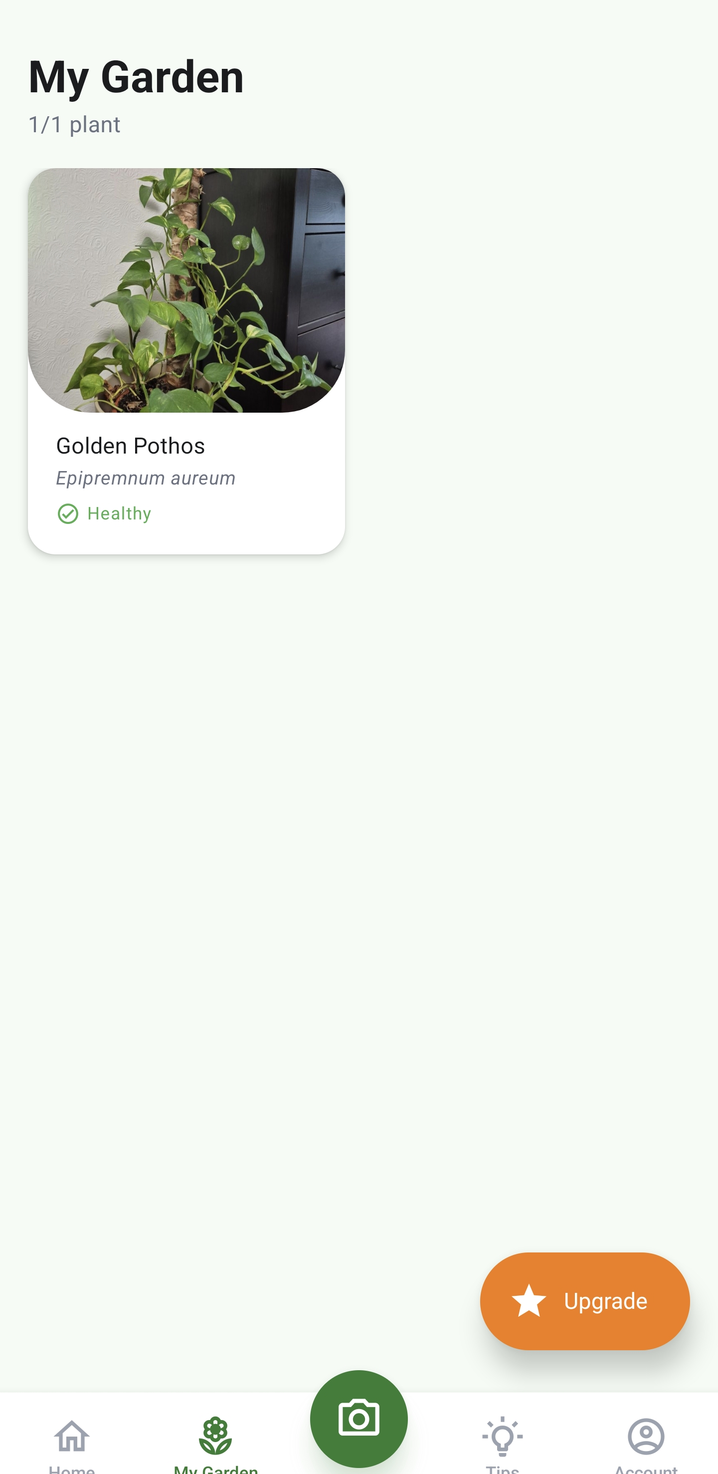 PlantSense AI garden view showing plant collection with health status
