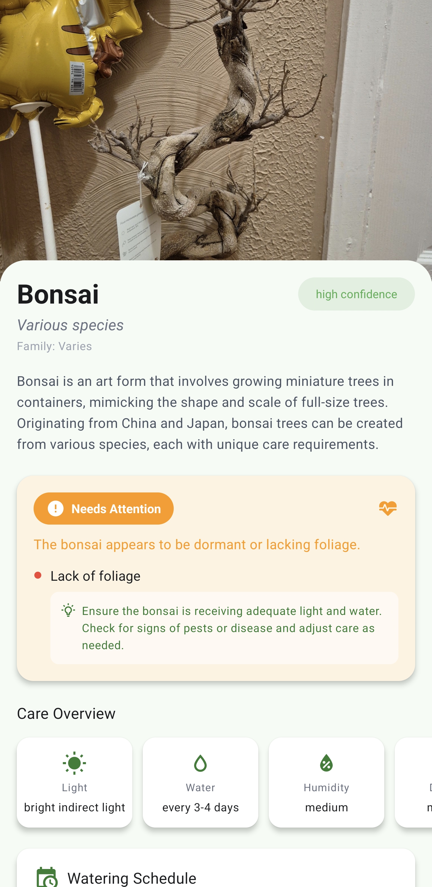 PlantSense AI health assessment showing a bonsai that needs attention